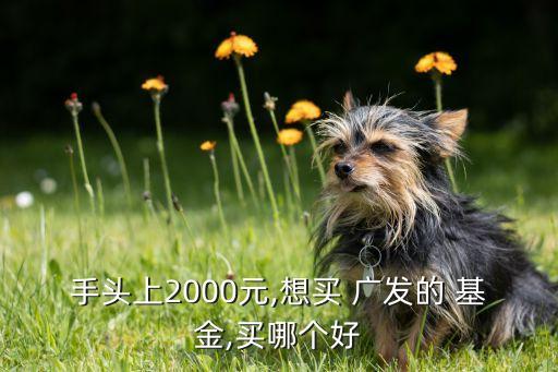 手頭上2000元,想買 廣發(fā)的 基金,買哪個(gè)好