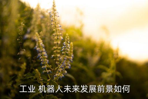 中國(guó)工業(yè)機(jī)器人的需求最新預(yù)計(jì)