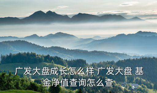  廣發(fā)大盤成長怎么樣 廣發(fā)大盤 基金凈值查詢?cè)趺床? class=