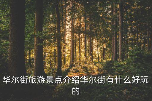華爾街旅游景點(diǎn)介紹華爾街有什么好玩的