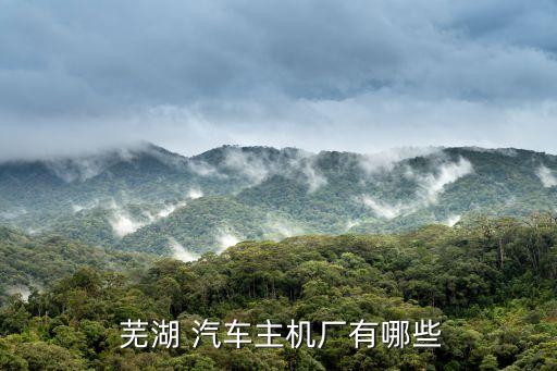 蕪湖順榮汽車(chē)部件有限公司,蕪湖舜富精密壓鑄科技有限公司