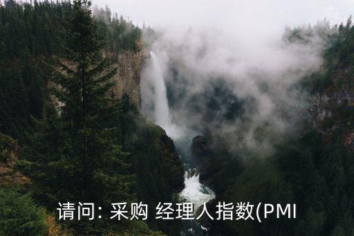 請問: 采購 經理人指數(PMI