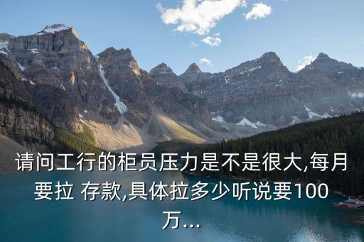 請(qǐng)問(wèn)工行的柜員壓力是不是很大,每月要拉 存款,具體拉多少聽說(shuō)要100萬(wàn)...