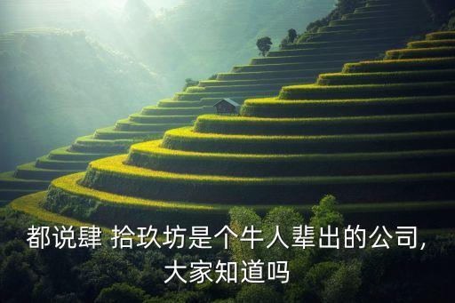 都說(shuō)肆 拾玖坊是個(gè)牛人輩出的公司,大家知道嗎