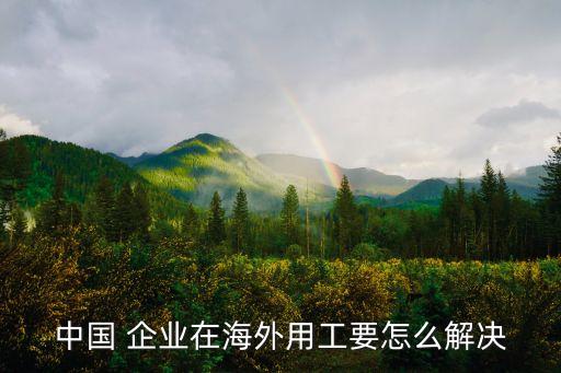 中國(guó)企業(yè)在美不公正待遇
