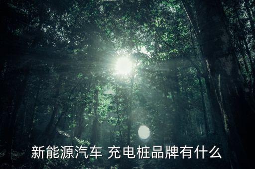 新能源汽車(chē) 充電樁品牌有什么