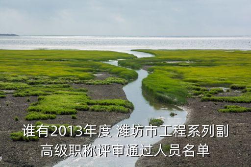 誰有2013年度 濰坊市工程系列副高級職稱評審通過人員名單