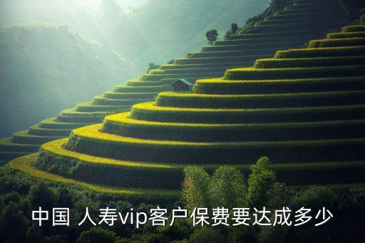 中國(guó)人壽會(huì)員建檔