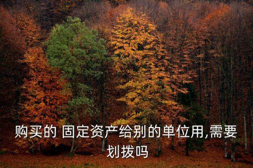 購買的 固定資產給別的單位用,需要 劃撥嗎