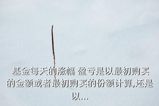  基金每天的漲幅 盈虧是以最初購(gòu)買(mǎi)的金額或者最初購(gòu)買(mǎi)的份額計(jì)算,還是以...