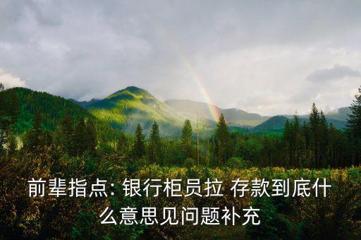 前輩指點(diǎn): 銀行柜員拉 存款到底什么意思見問(wèn)題補(bǔ)充