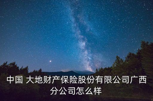 中國(guó) 大地財(cái)產(chǎn)保險(xiǎn)股份有限公司廣西分公司怎么樣