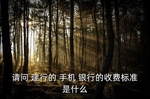 請問 建行的 手機 銀行的收費標準是什么