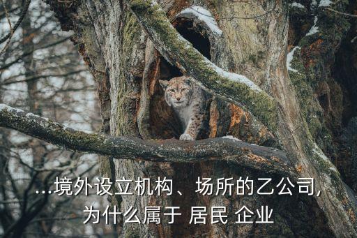...境外設(shè)立機(jī)構(gòu)、場所的乙公司,為什么屬于 居民 企業(yè)
