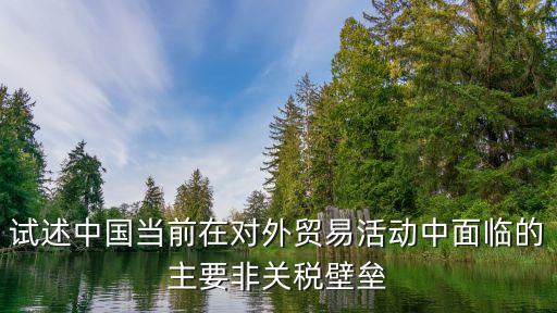 試述中國當前在對外貿易活動中面臨的主要非關稅壁壘