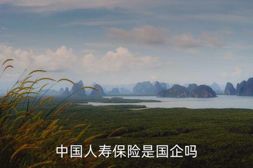 中國人壽保險(xiǎn)是國企嗎