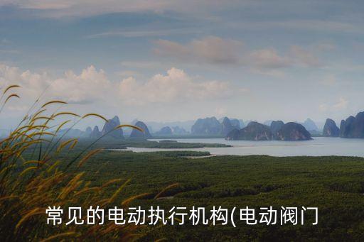 常見(jiàn)的電動(dòng)執(zhí)行機(jī)構(gòu)(電動(dòng)閥門