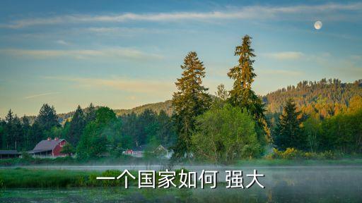 一個國家如何 強大