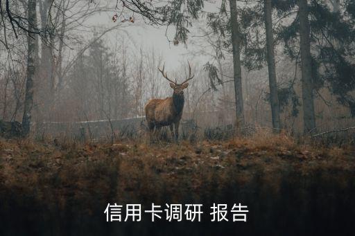 信用卡調(diào)研 報(bào)告