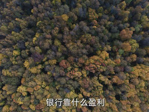 銀行的營業(yè)貢獻(xiàn)是指,銀行基層營業(yè)機構(gòu)是指