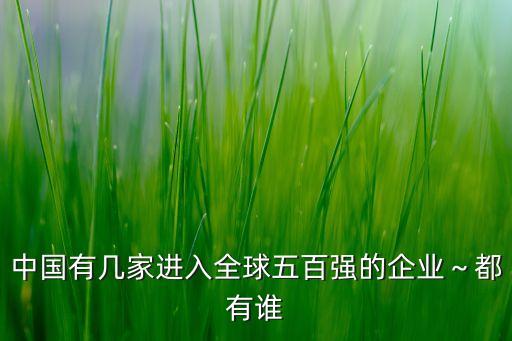 中國(guó)有幾家進(jìn)入全球五百強(qiáng)的企業(yè)～都有誰