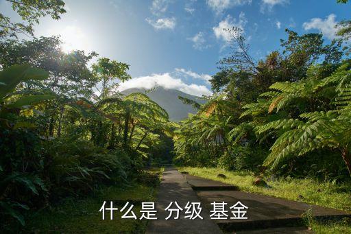 什么是 分級(jí) 基金