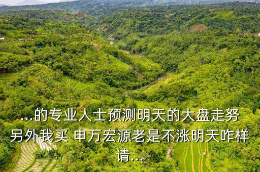 申萬(wàn)宏源這支股票不好,股票申萬(wàn)宏源上海
