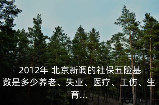  2012年 北京新調(diào)的社保五險(xiǎn)基數(shù)是多少養(yǎng)老、失業(yè)、醫(yī)療、工傷、生育...