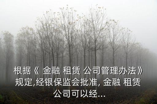 根據(jù)《 金融 租賃 公司管理辦法》規(guī)定,經(jīng)銀保監(jiān)會批準, 金融 租賃 公司可以經(jīng)...