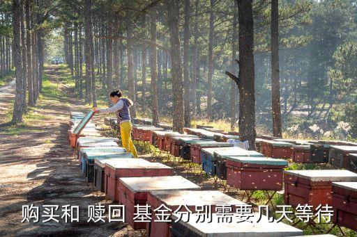 購(gòu)買(mǎi)和 贖回 基金分別需要幾天等待