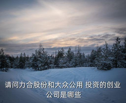 請(qǐng)問力合股份和大眾公用 投資的創(chuàng)業(yè) 公司是哪些