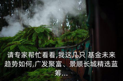 請專家?guī)兔纯?我這幾只 基金未來趨勢如何,廣發(fā)聚富、景順長城精選藍(lán)籌...