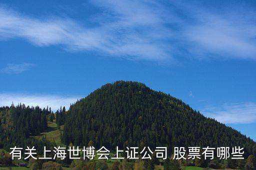 有關(guān)上海世博會(huì)上證公司 股票有哪些
