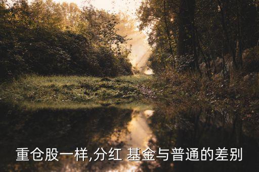 重倉股一樣,分紅 基金與普通的差別