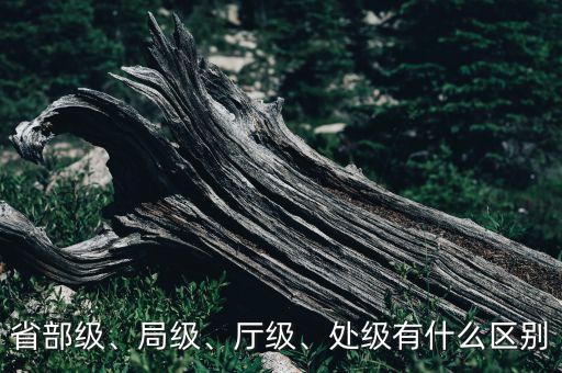 省部級、局級、廳級、處級有什么區(qū)別