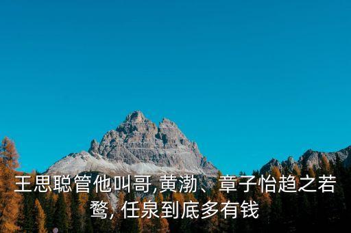 王思聰管他叫哥,黃渤、章子怡趨之若鶩, 任泉到底多有錢(qián)