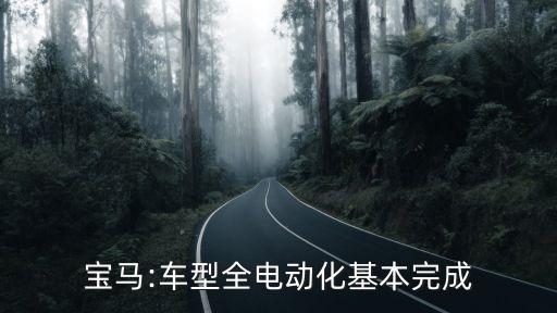 寶馬:車型全電動(dòng)化基本完成