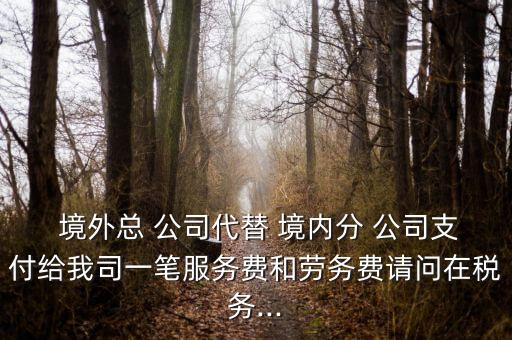  境外總 公司代替 境內(nèi)分 公司支付給我司一筆服務費和勞務費請問在稅務...
