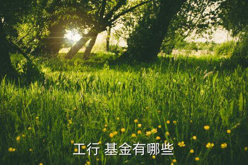 工行 基金有哪些