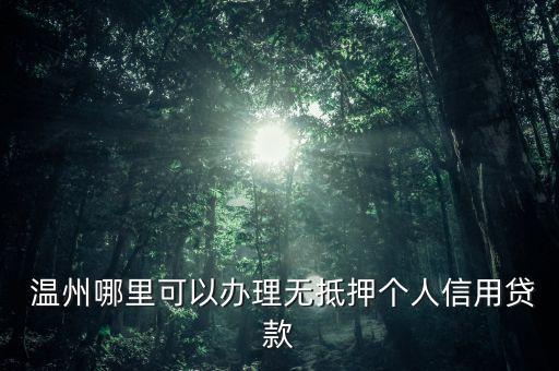  溫州哪里可以辦理無抵押個人信用貸款