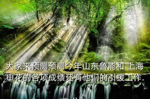 大家來(lái)預(yù)測(cè)預(yù)測(cè)今年山東魯能和 上海申花的各項(xiàng)成績(jī)還有他們的引援工作...
