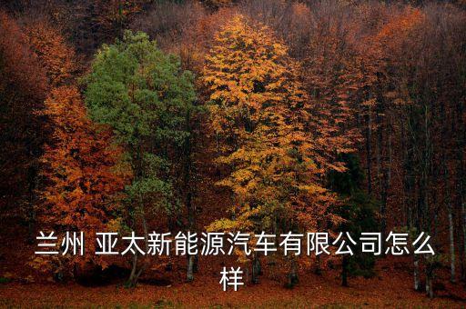  蘭州 亞太新能源汽車(chē)有限公司怎么樣