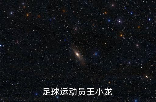 足球運(yùn)動員王小龍