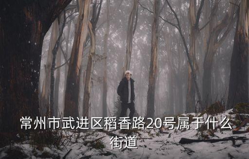  常州市武進區(qū)稻香路20號屬于什么街道