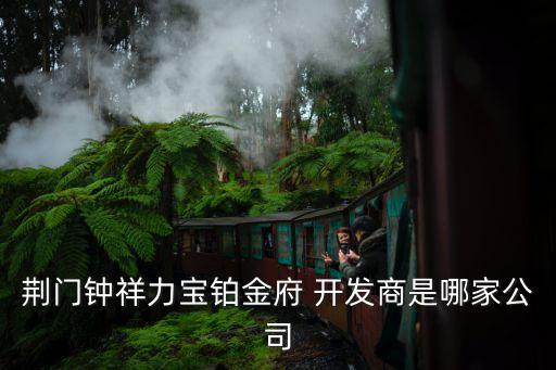 荊門鐘祥力寶鉑金府 開(kāi)發(fā)商是哪家公司