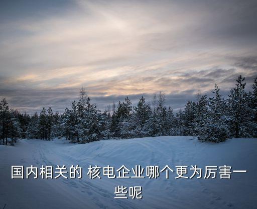 國內(nèi)相關(guān)的 核電企業(yè)哪個更為厲害一些呢