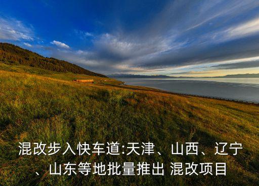  混改步入快車道:天津、山西、遼寧、山東等地批量推出 混改項目