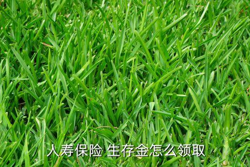  人壽保險(xiǎn) 生存金怎么領(lǐng)取