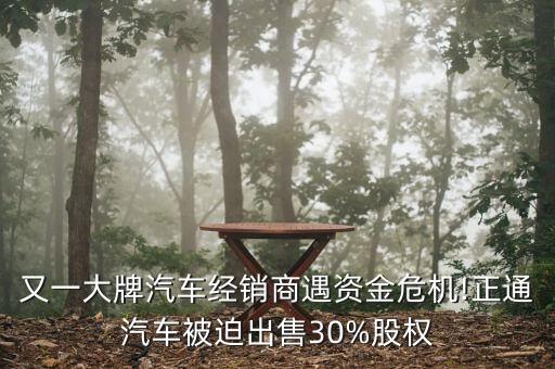 龐大集團貸款