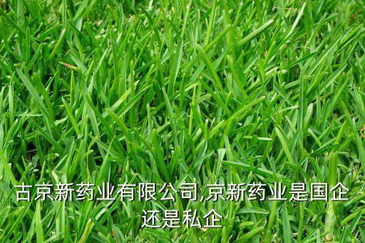 內蒙古京新藥業(yè)有限公司,京新藥業(yè)是國企還是私企